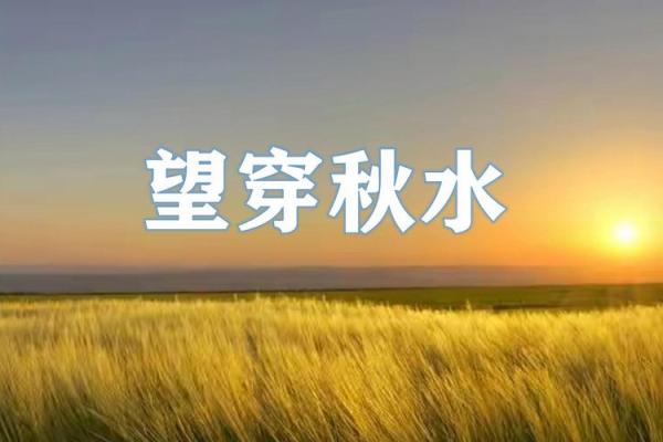 望穿秋水是什么生肖  词语释义解释落实
