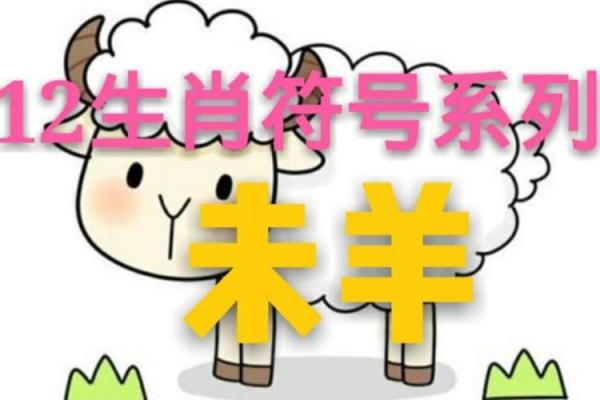 多愁善感是什么生肖  词语释义解释落实