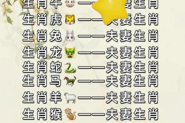 1978年属什么生肖  词语释义解释落实
