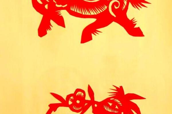 出神入化形容哪个生肖最贴切有科学依据吗  