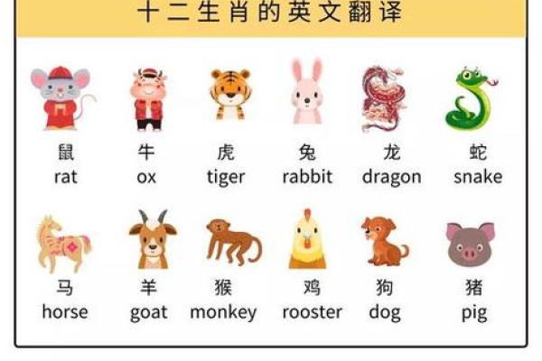 落难凤凰不如鸡在十二生肖中代表哪个动物  