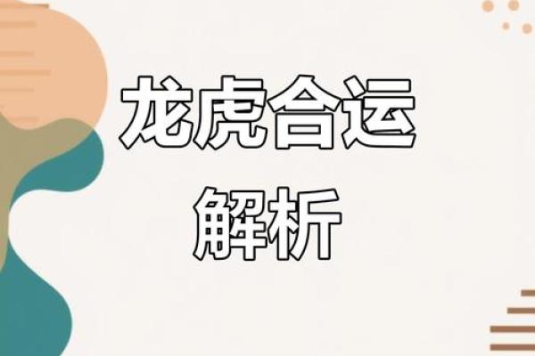 两雄争霸生肖配对解析及运势影响  