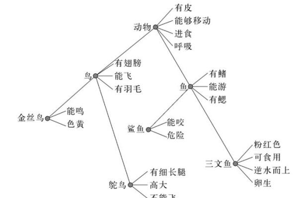 借机上位是什么生肖  词语释义解释落实