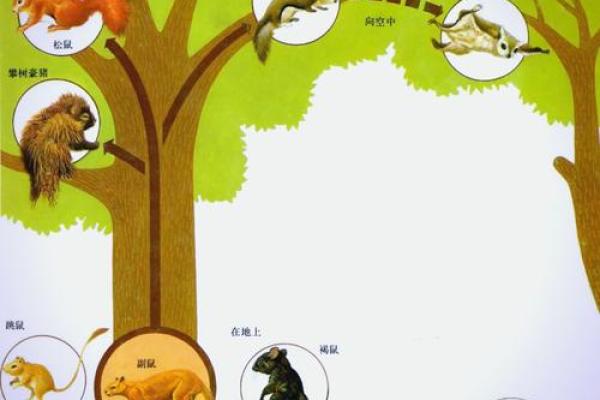 威震山林指的是十二生肖中的哪一个动物  