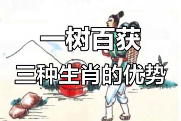高人一等的生肖有哪些性格特点和优势  