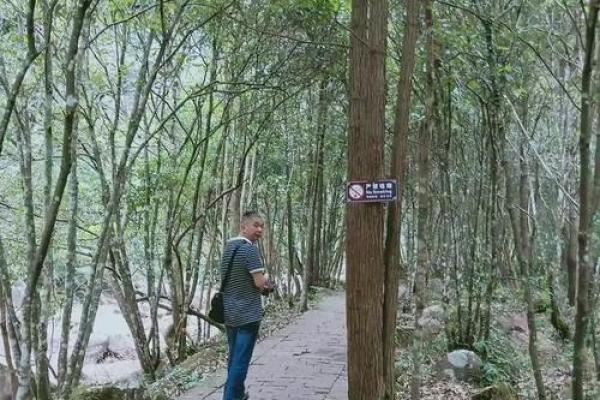 山清水秀打一生肖的谜底是什么  