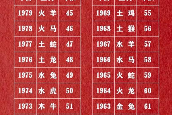 2019年属什么生肖怎么算  