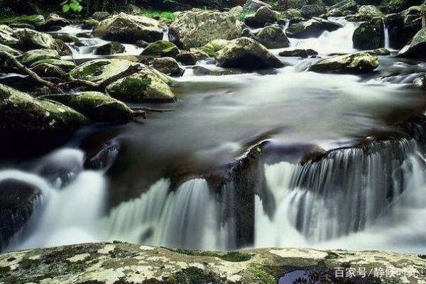 步步高升对应的生肖是什么 如何提升运势  