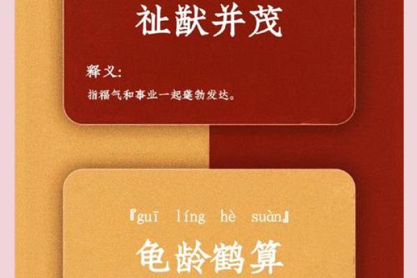 龟鹤之年打一动物  词语释义解释落实