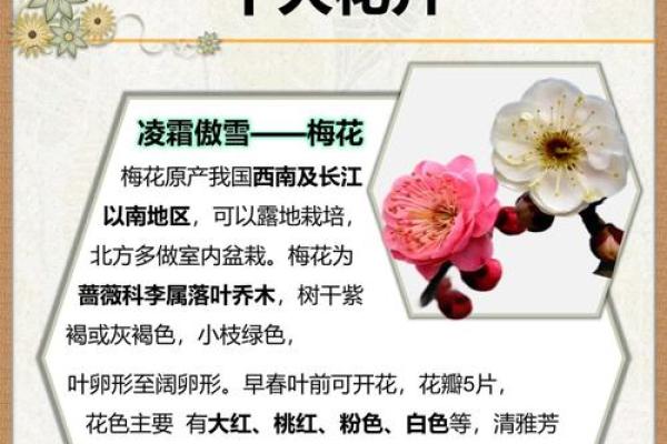 三宫六院在其中指的是哪个生肖的传统文化象征  