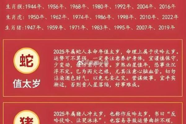 98年属于什么生肖年  词语释义解释落实