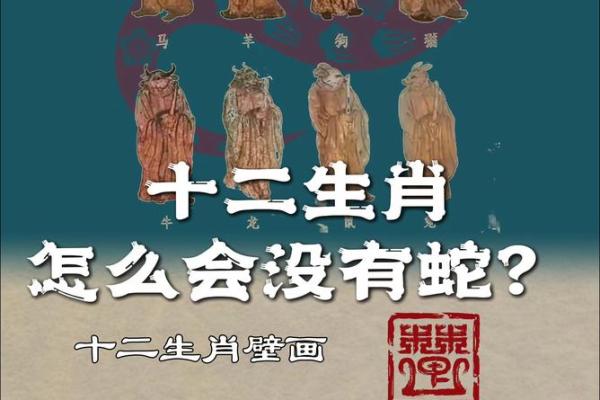 神出鬼没的动物在十二生肖中具体指哪个生肖  