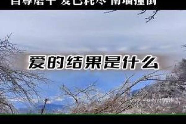 头撞南墙是什么动物  词语释义解释落实