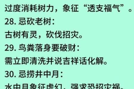 逍遥法外打一生肖  词语释义解释落实