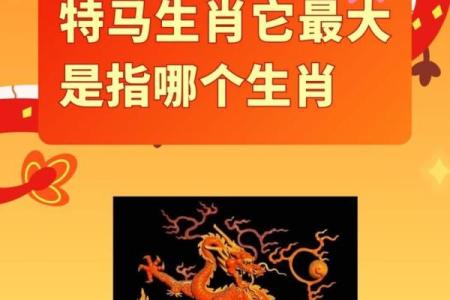 偷偷的是什么动物打什么生肖  词语释义解释落实
