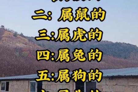 摆龙门阵指的是哪个生肖有什么说法或典故  