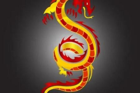 豆蔻年华的年龄和生肖运势有什么关系  