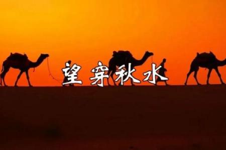 望穿秋水是什么生肖  词语释义解释落实