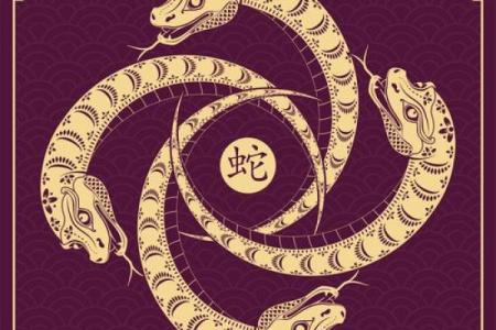 隔岸观火对应的生肖动物解析及性格特点分析  