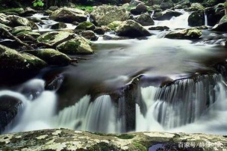 步步高升对应的生肖是什么 如何提升运势  