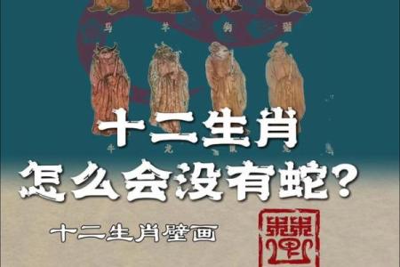 神出鬼没的动物在十二生肖中具体指哪个生肖  