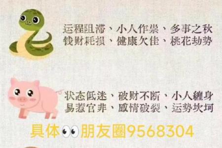 万里挑一打一个生肖  词语释义解释落实