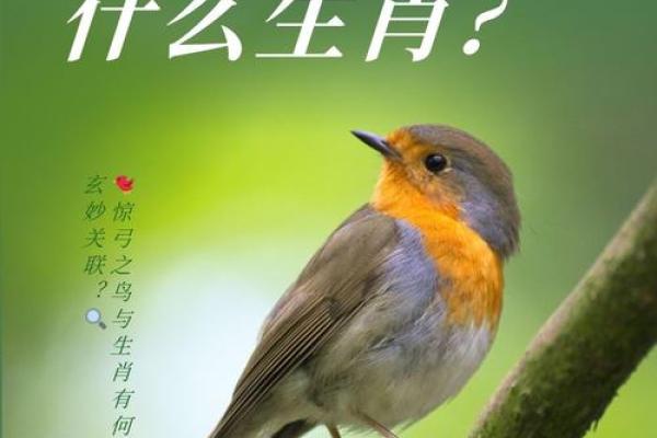 风吹草动代表什么生肖 谜语解析  