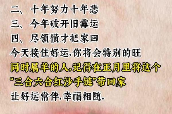 舍策追羊对应的生肖及其文化寓意解析  