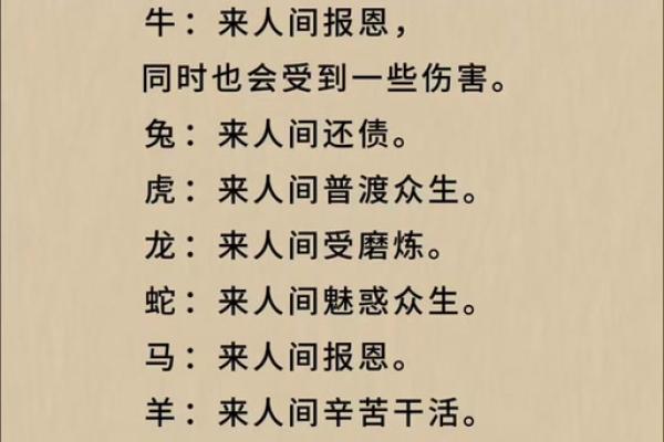 知恩图报打一个生肖  词语释义解释落实
