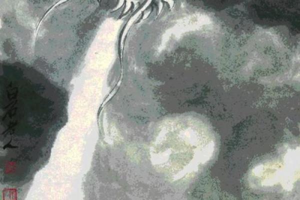 长生不死是什么生肖  词语释义解释落实