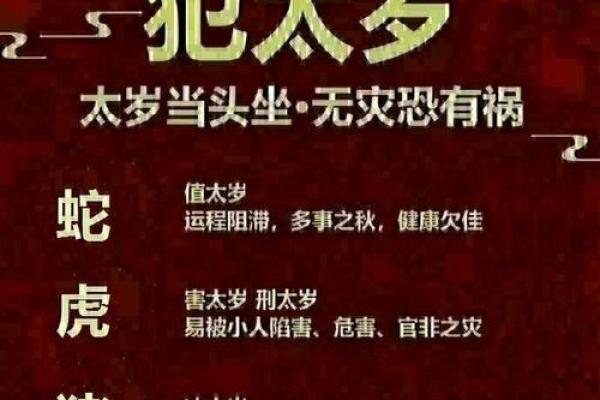暗无天日代表哪个生肖有什么寓意和象征  