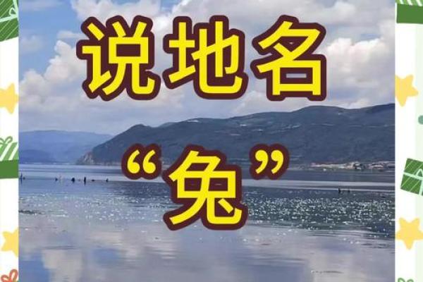 惊蛇入草打一生肖的谜底是什么  