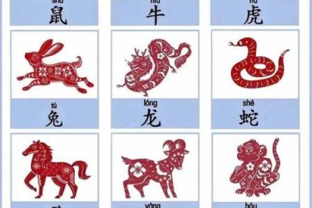 笑里藏刀对应的生肖动物及其性格特征解析  