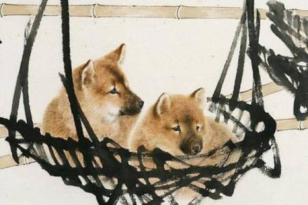 满面红光是什么生肖  词语释义解释落实