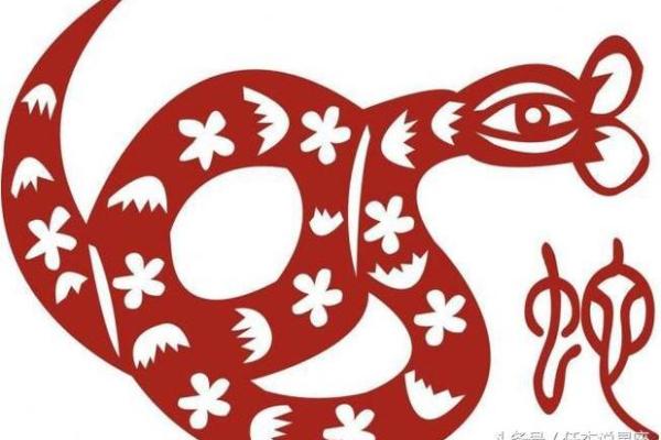 锦绣前程对应的生肖动物有哪些寓意解析  