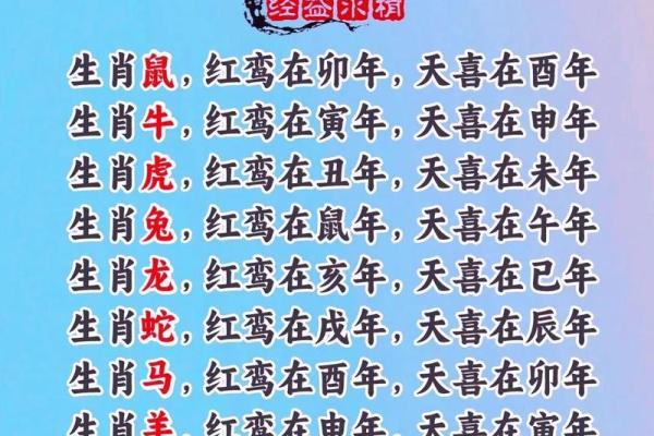 灯红酒绿是什么生肖  词语释义解释落实