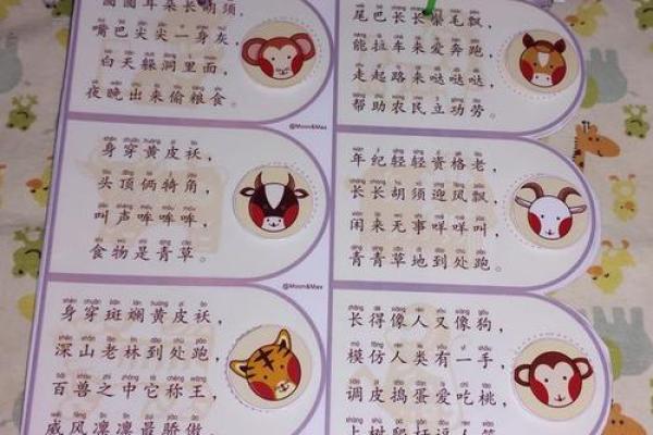亡羊补牢是什么生肖  词语释义解释落实