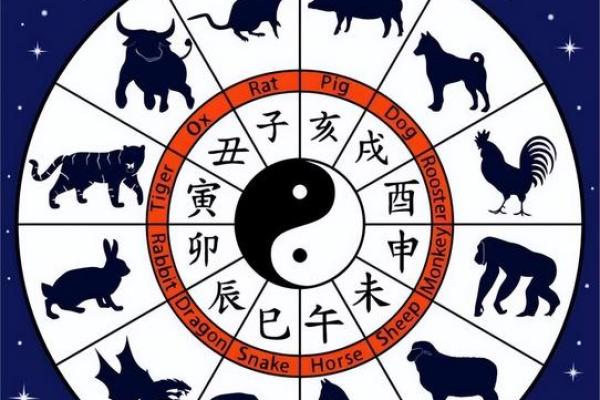 1963年属什么生肖  词语释义解释落实