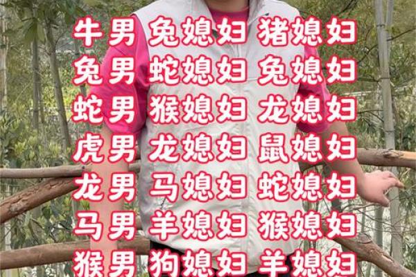 才子佳人打一个生肖是什么意思  