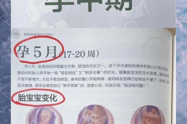 2026年1月预产期，最佳的怀孕月份是哪几个月以及饮食注意