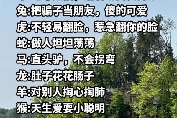 笑里藏刀对应的生肖是什么 十二生肖中谁最符合  