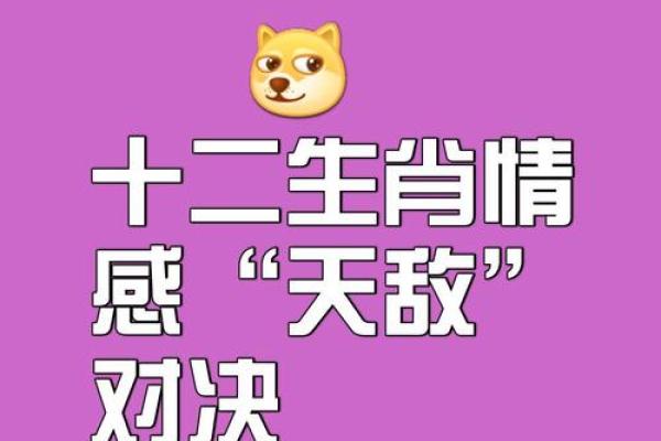 风雨无阻打一个生肖是什么意思有什么寓意  