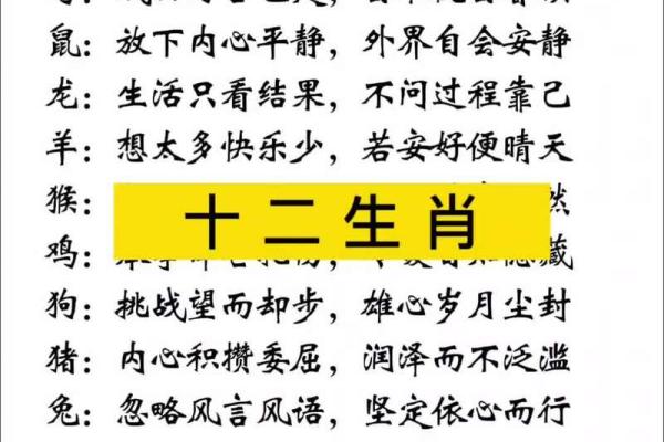 龙虎之争是什么生肖  词语释义解释落实