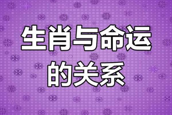 手忙脚乱对应的生肖性格特征解析 如何判断关联性  