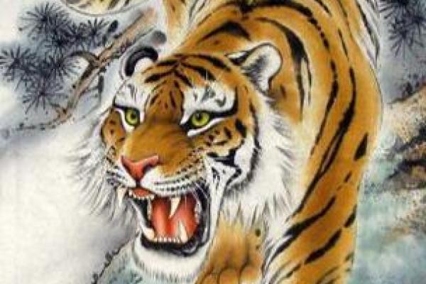 猛虎下山指什么生肖  词语释义解释落实