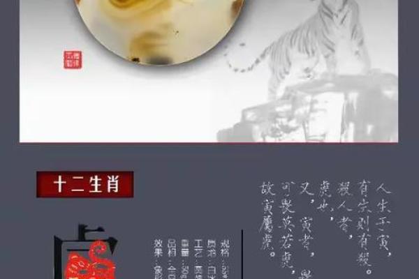 星星之火打一生肖是什么意思 谜底解析  