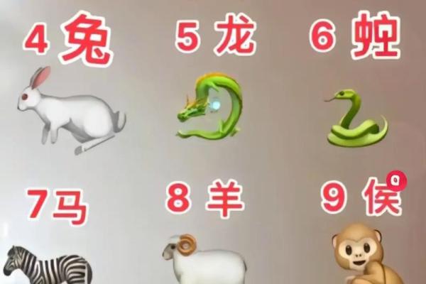 数以万计的动物中哪些生肖最受欢迎  