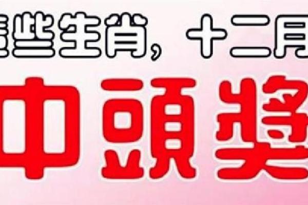 心急如火打一生肖，最佳答案解析  