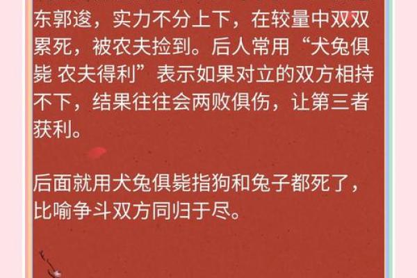 兔死狐悲是什么生肖  词语释义解释落实