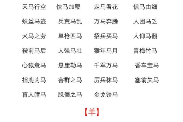 眼高手低的动物是什么生肖  词语释义解释落实